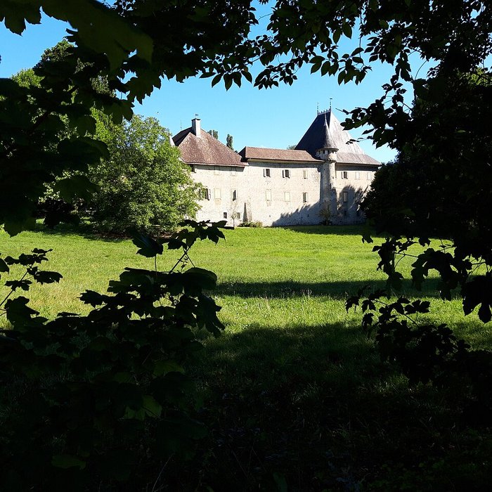 Photo de Château de Loche
