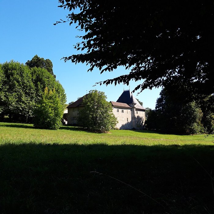 Photo de Château de Loche
