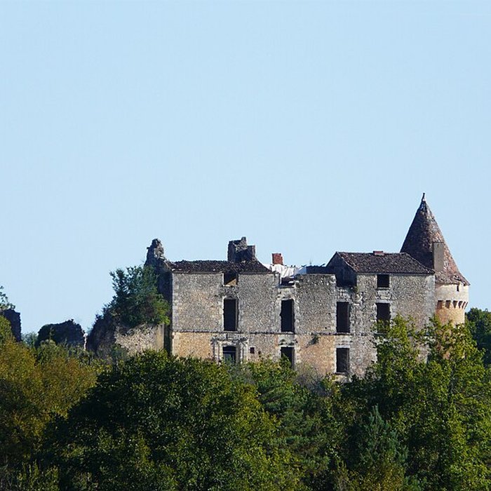 Photo de Château de Longas
