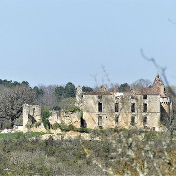Château de Longas