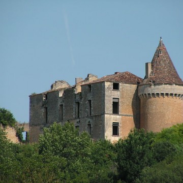chateau de longas