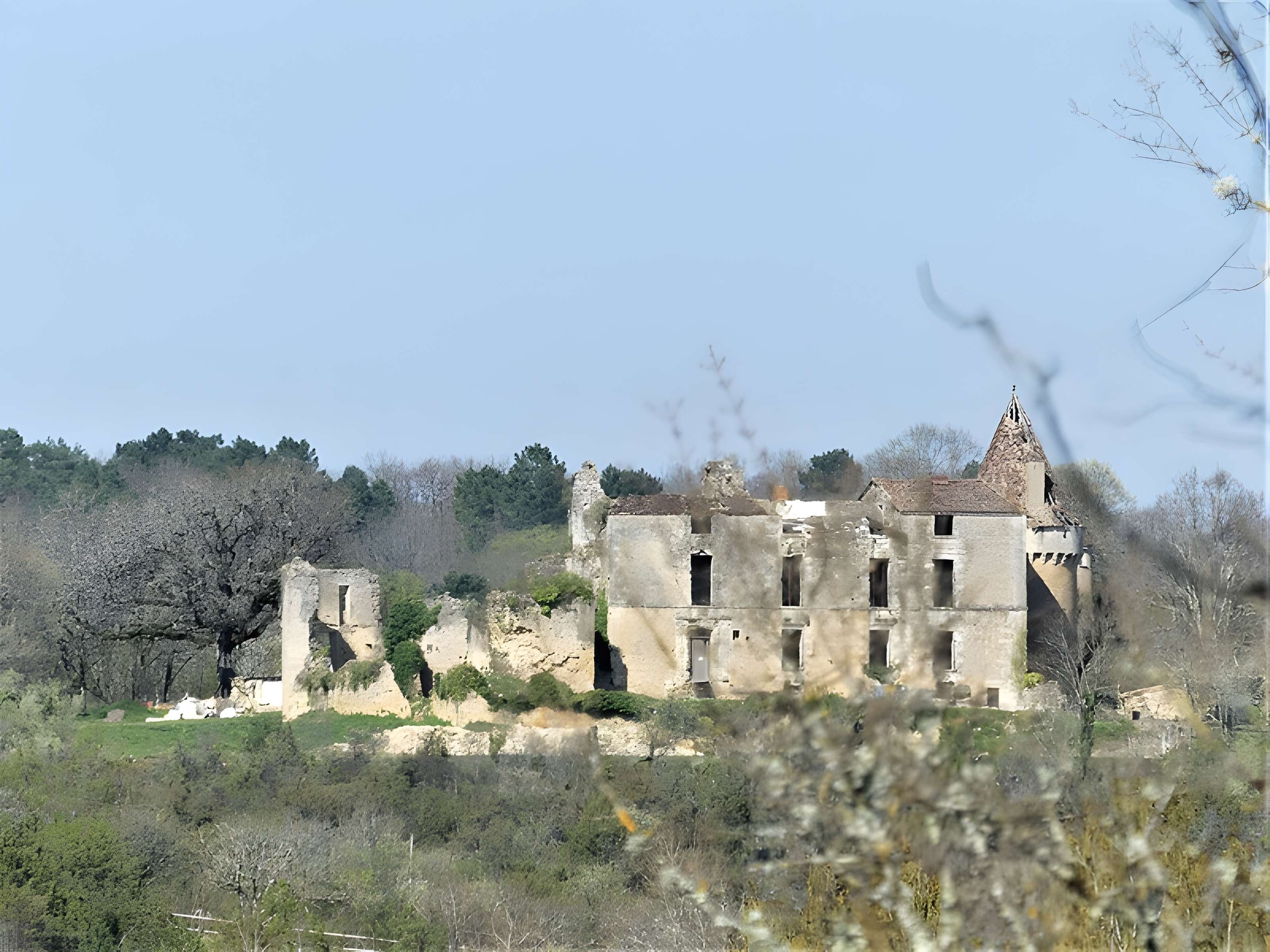 Château de Longas