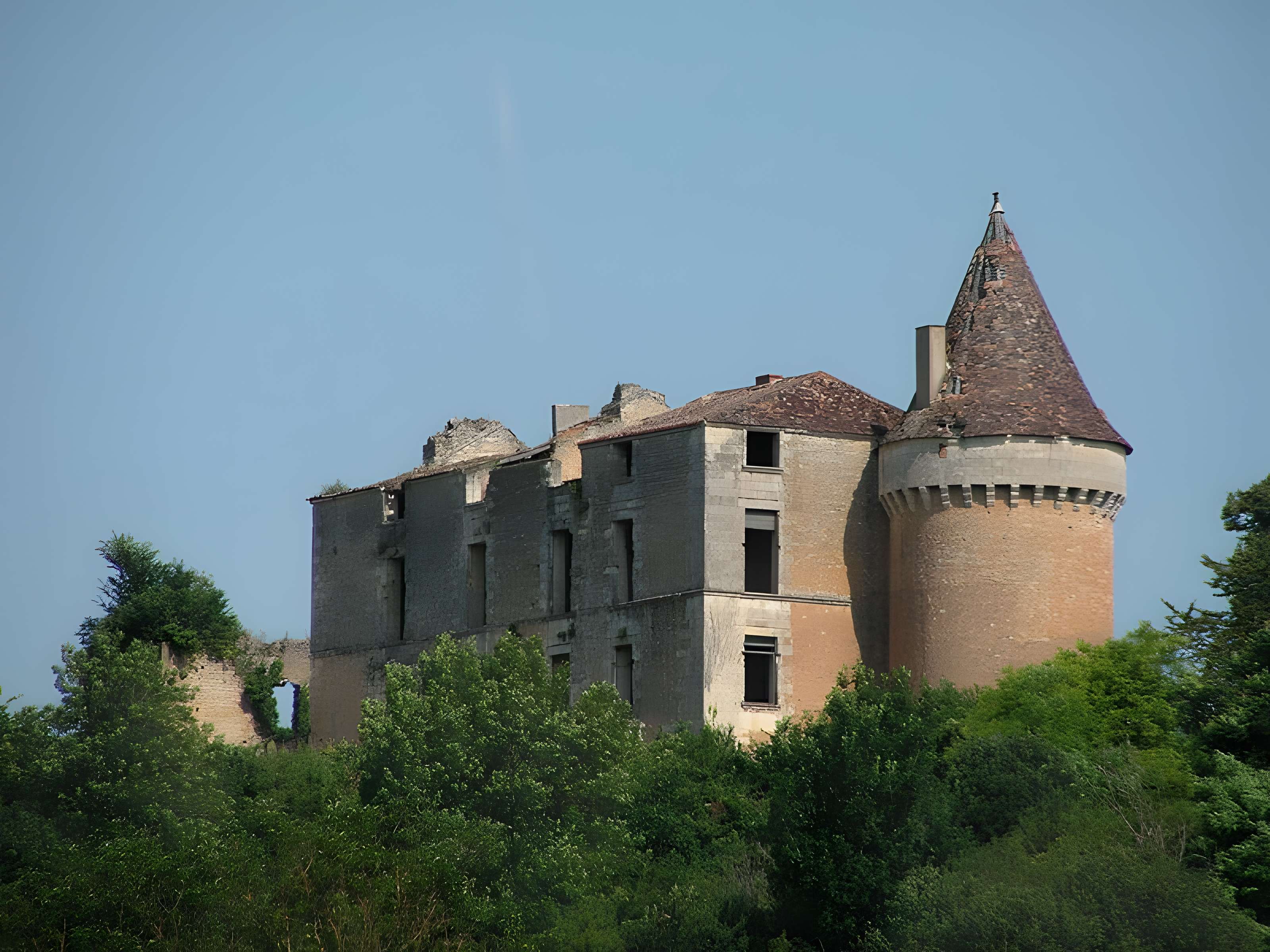 Château de Longas 