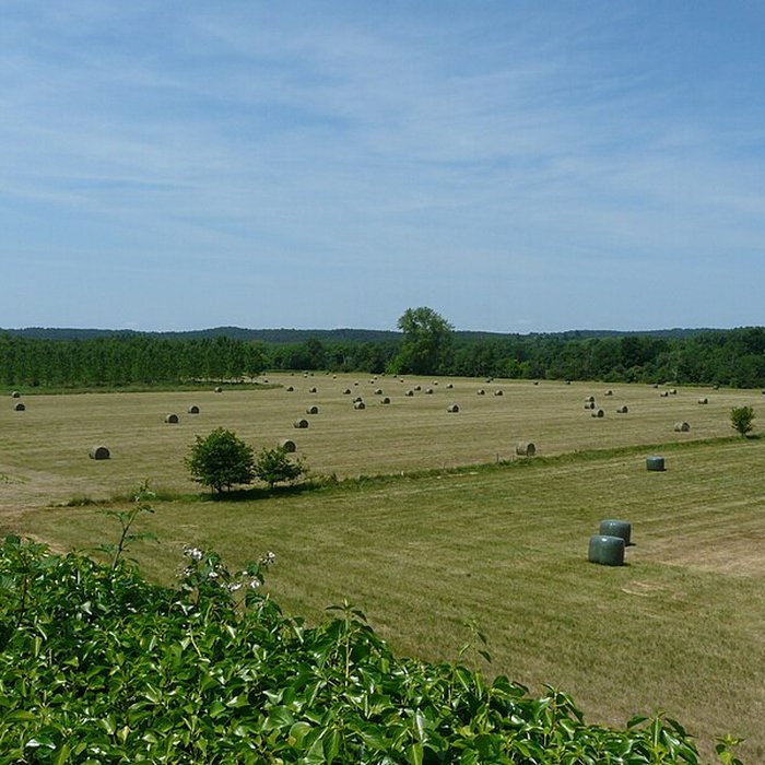 Photo de Château de Longua