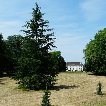 Château de Longua
