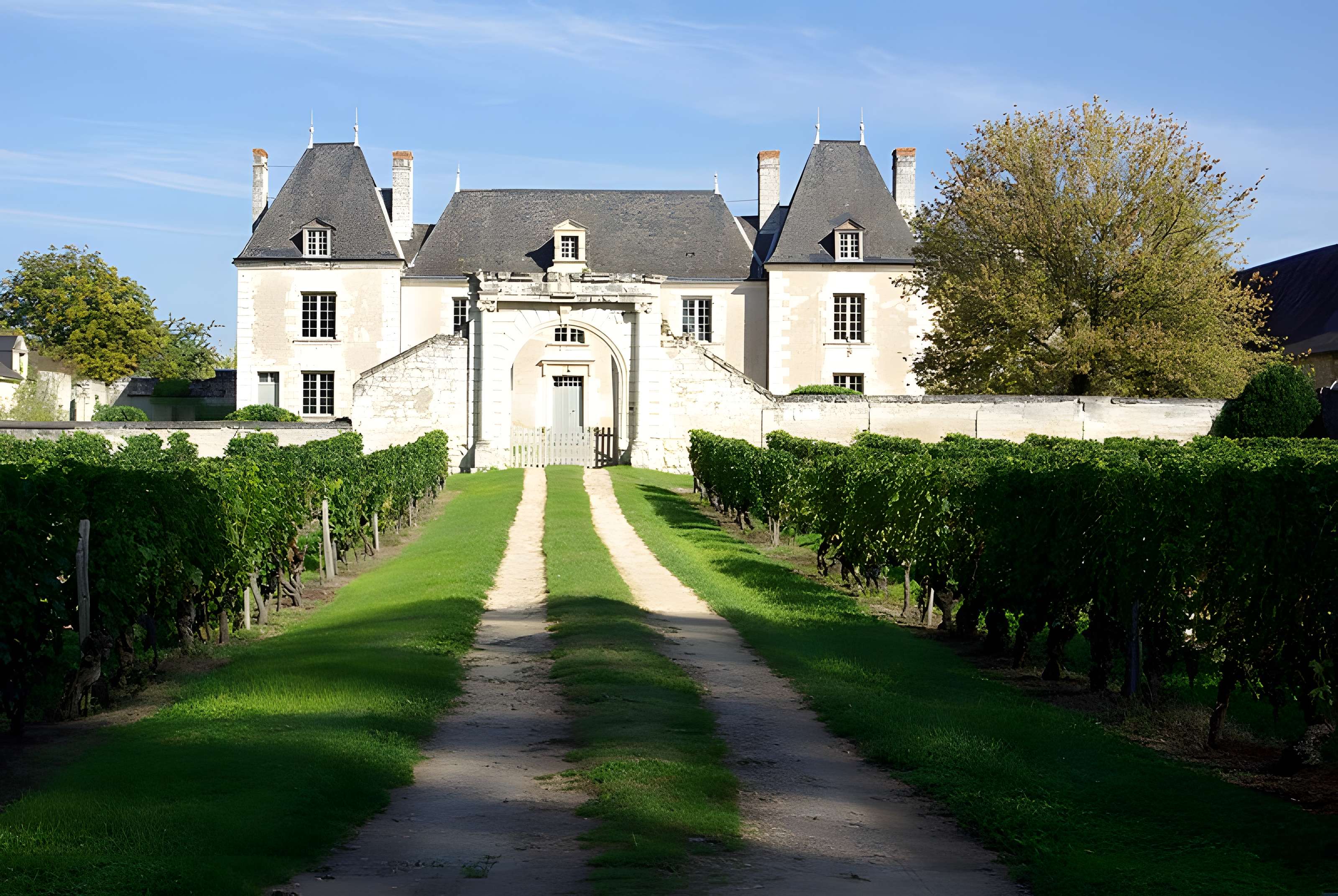 Château de Louy