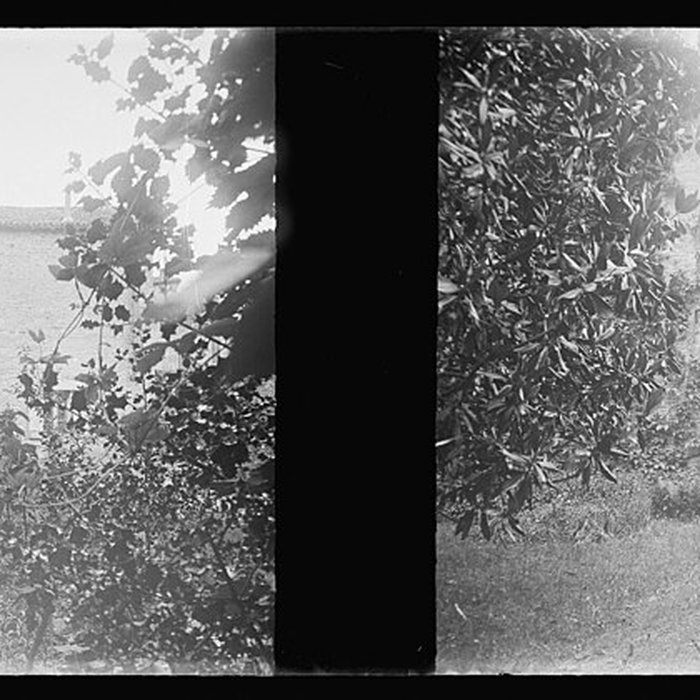 Photo de Château de Lucay