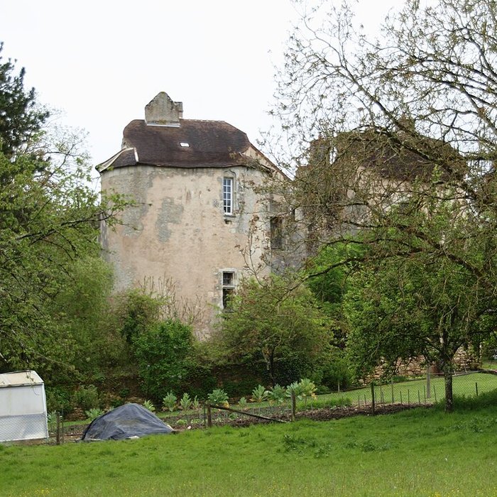 Photo de Château de Lurais