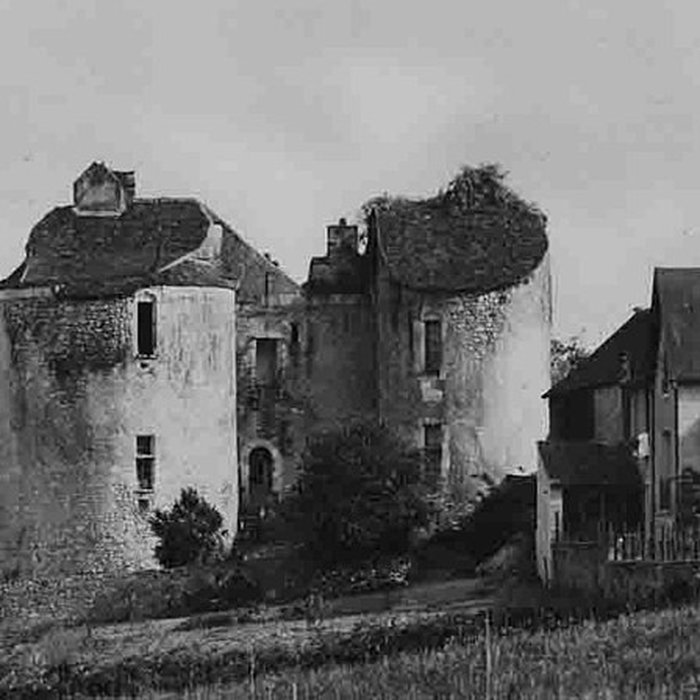 Photo de Château de Lurais