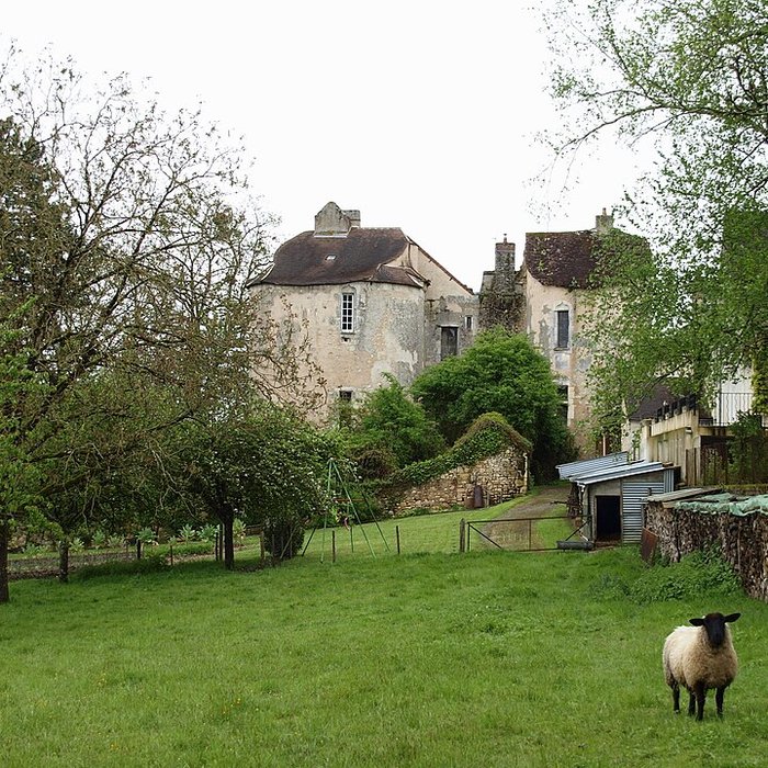 Photo de Château de Lurais
