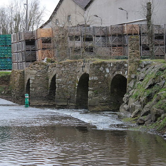 Photo de Pont romain de Mouzillon