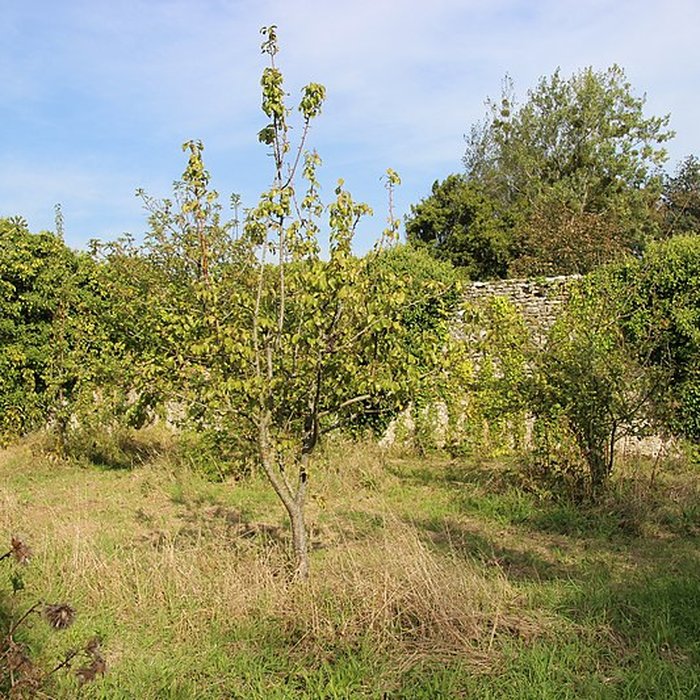 Photo de Château de Magny-en-Bessin