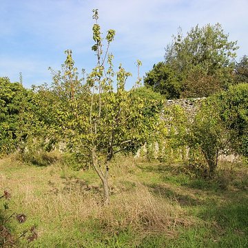 Château de Magny-en-Bessin