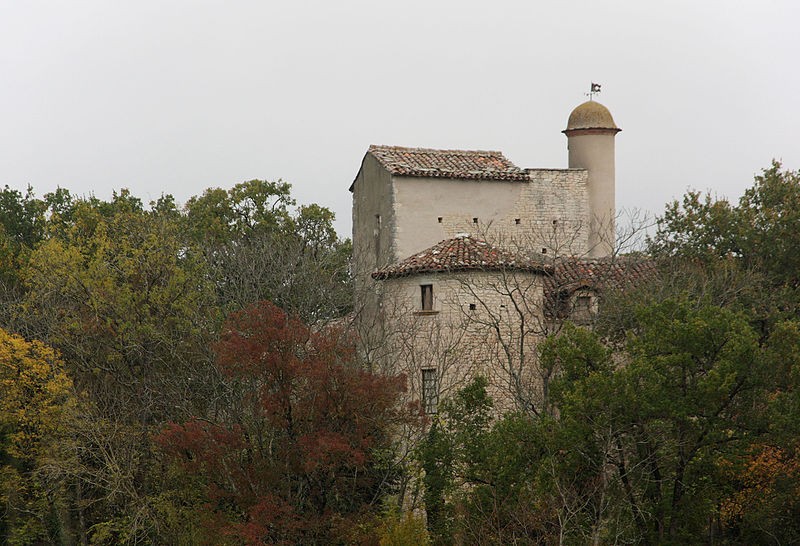 Photo de Château de Mailhoc