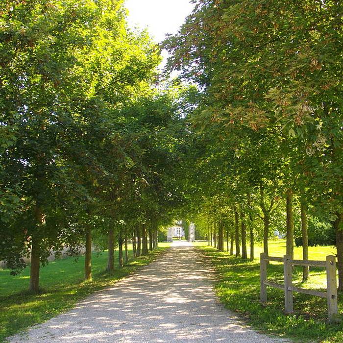 Photo de Château de Mairy-sur-Marne