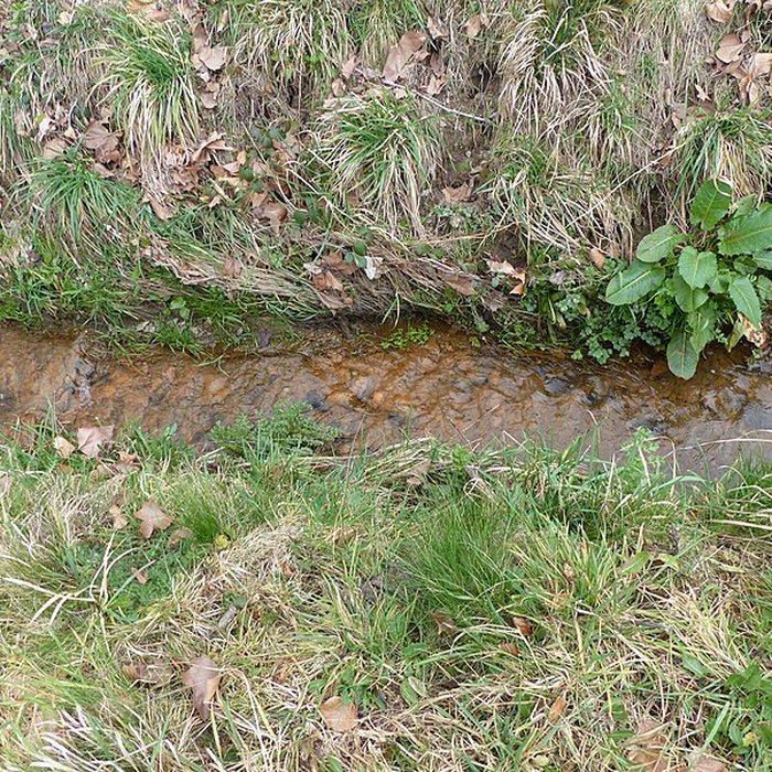 Photo de Château de Malleville