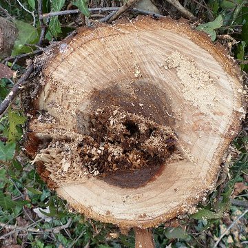 Château de Malleville