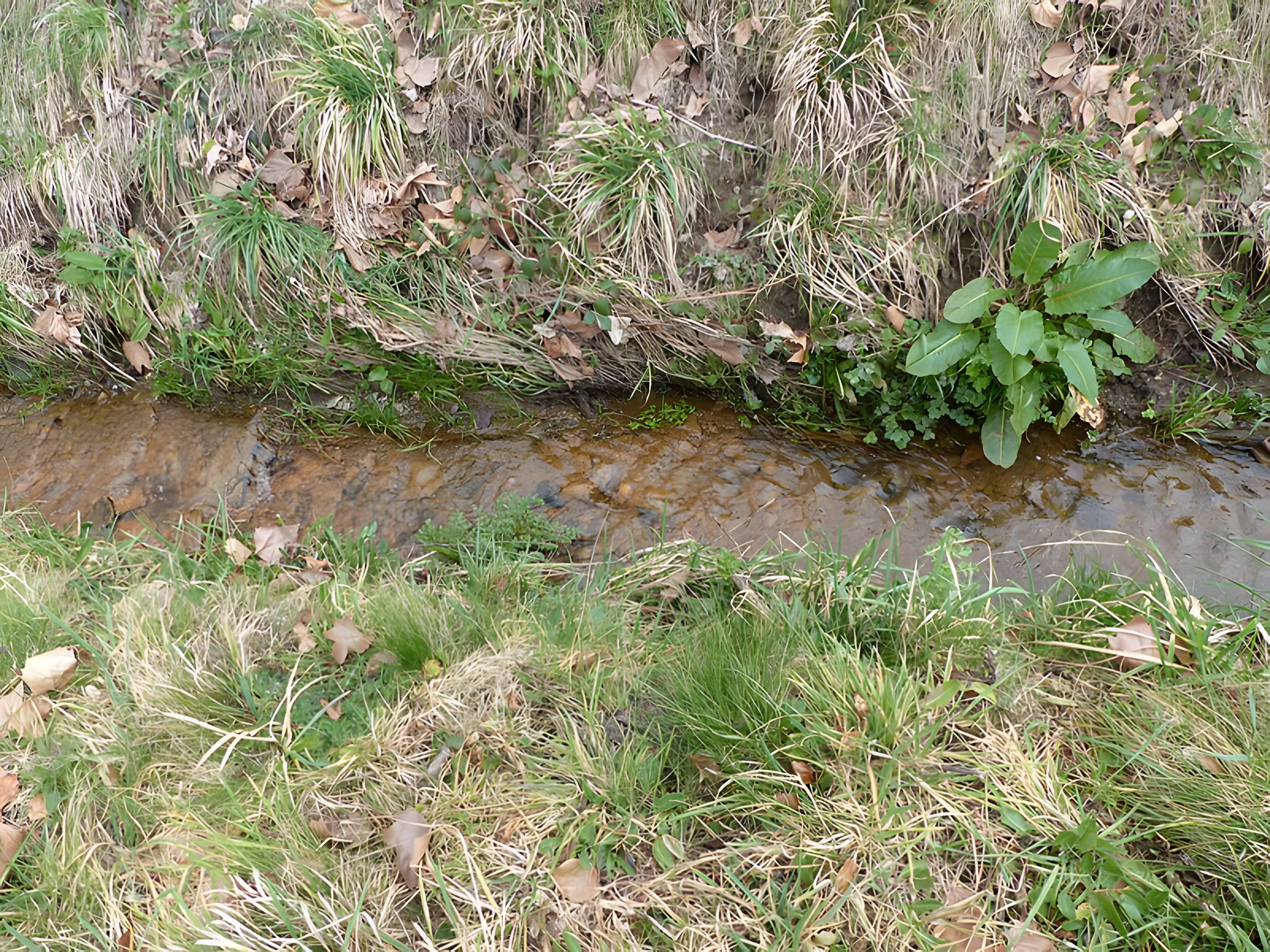 Château de Malleville