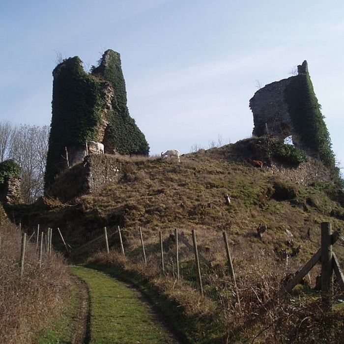 Photo de Vestiges du château