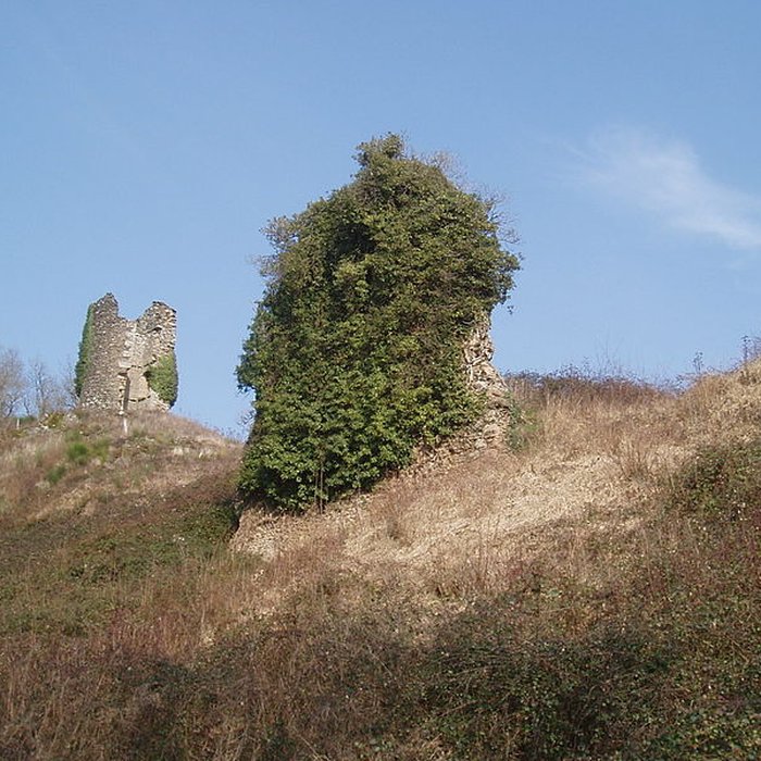 Photo de Vestiges du château