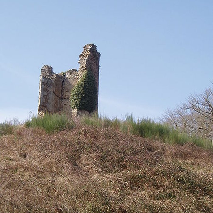 Photo de Vestiges du château