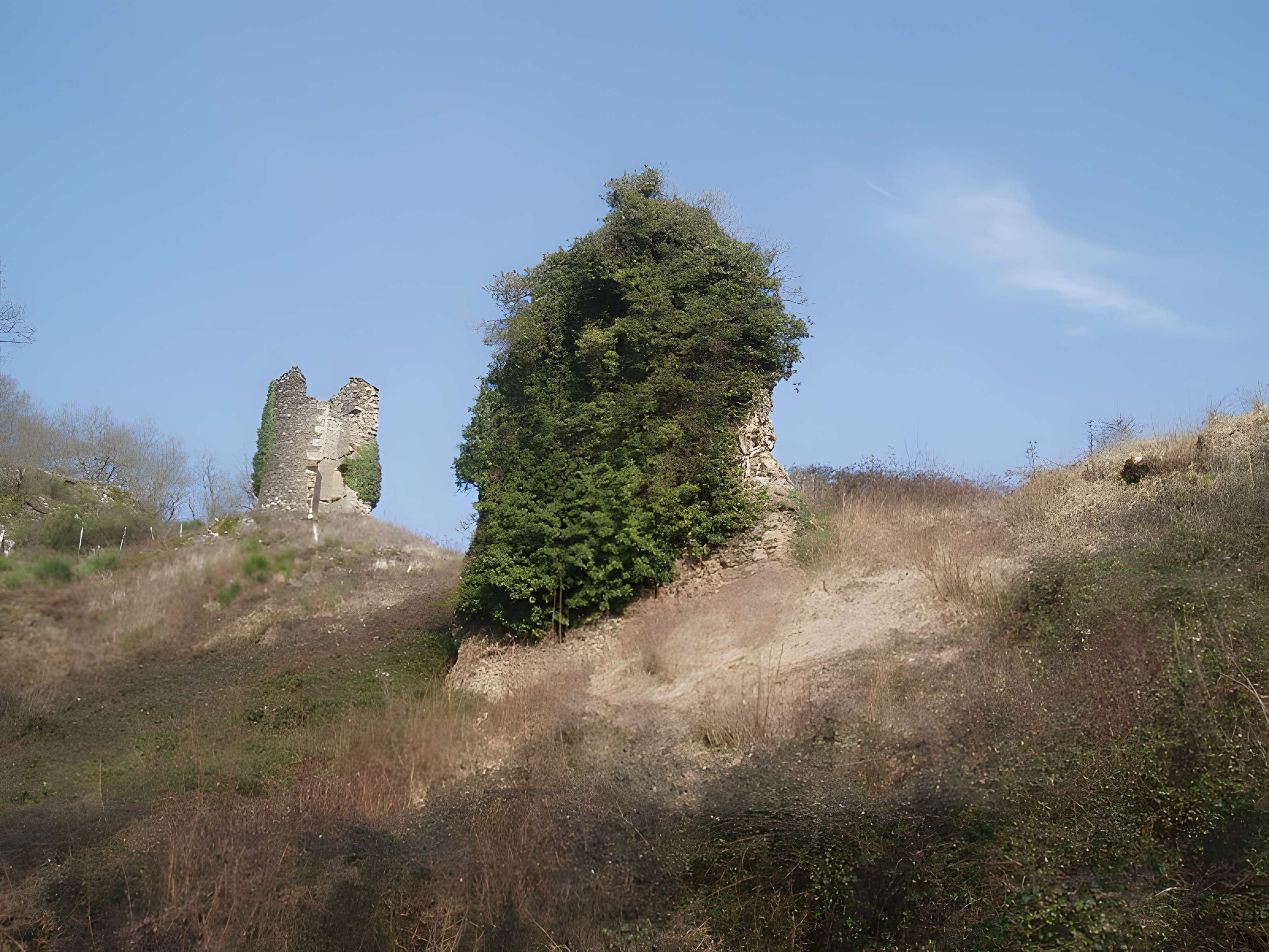 Vestiges du château