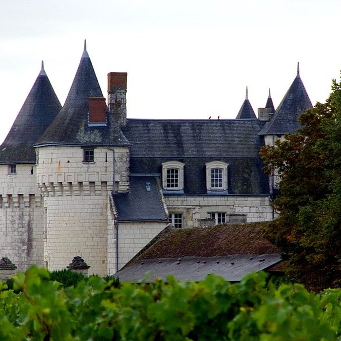 Photo de Château de Marçay
