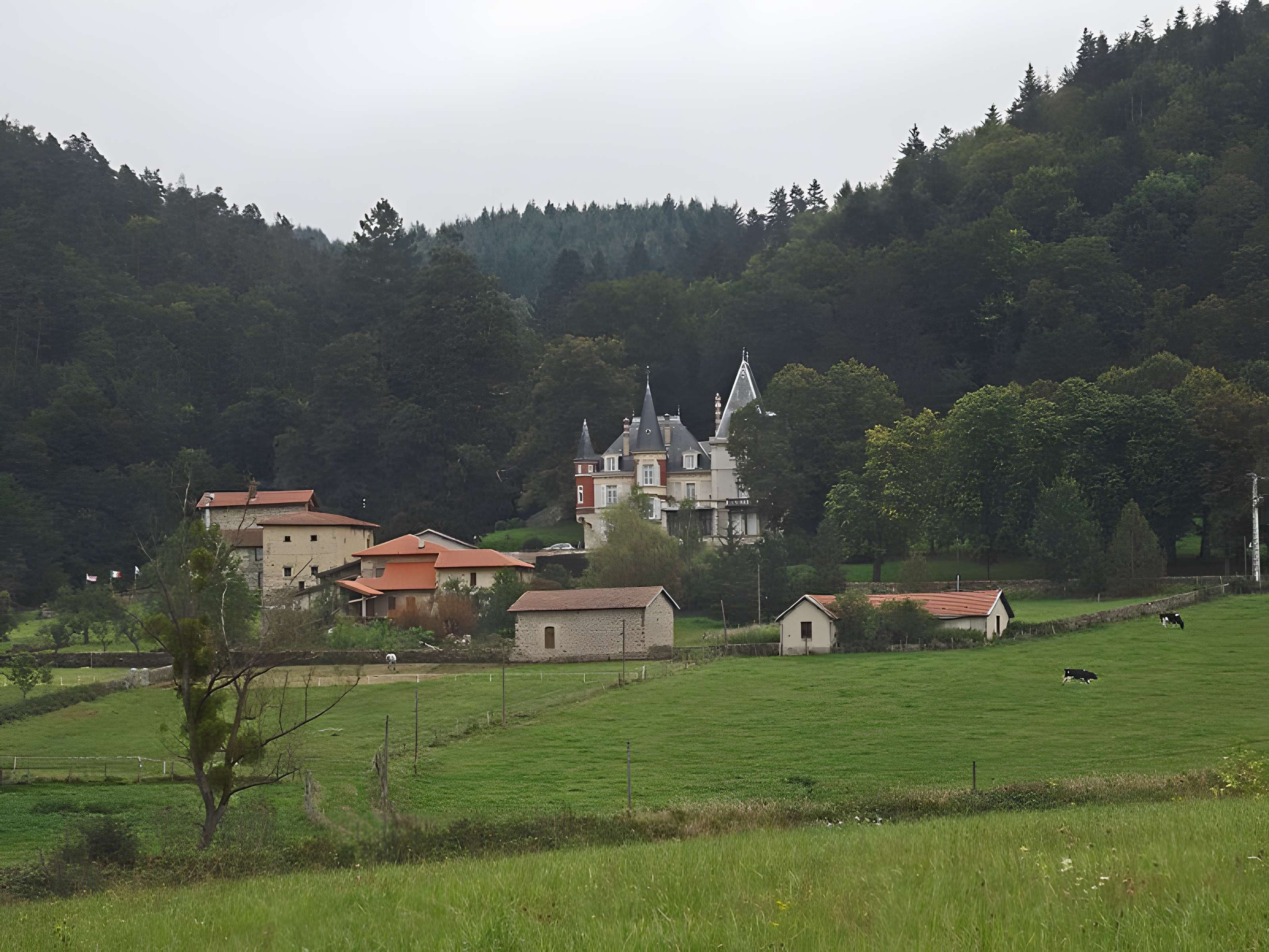 Château de Martinas 