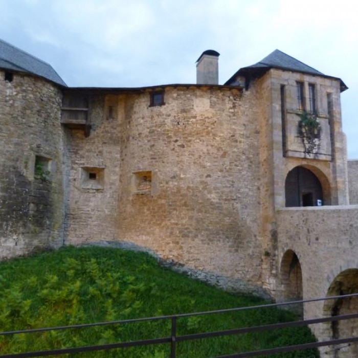 Photo de Château de Mauléon