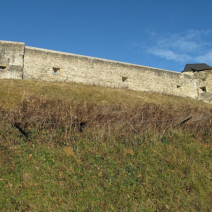 Photo de Château de Mauléon
