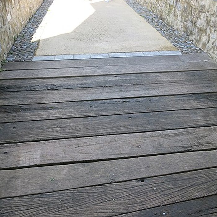 Photo de Château de Mauléon