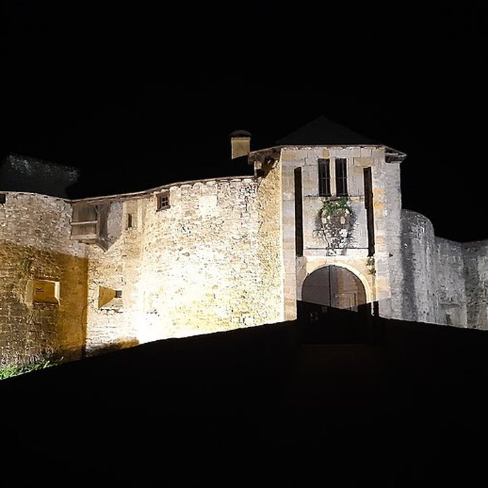 Photo de Château de Mauléon