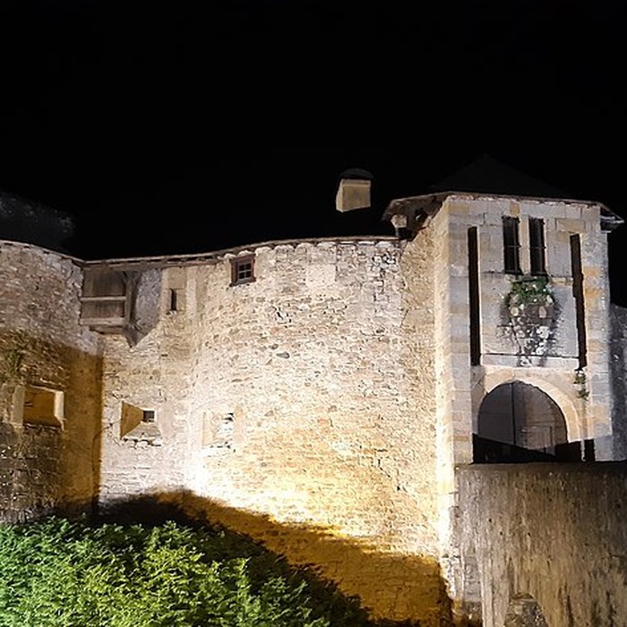 Photo de Château de Mauléon