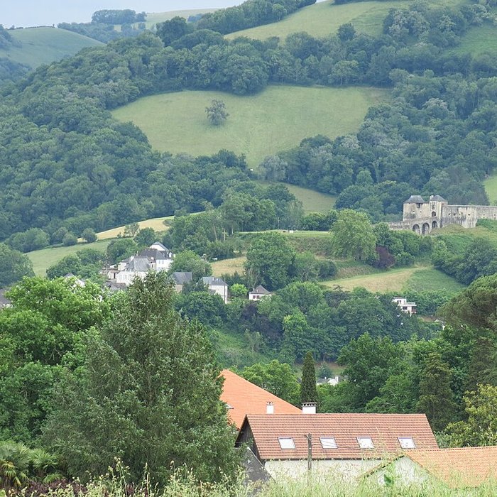Photo de Château de Mauléon