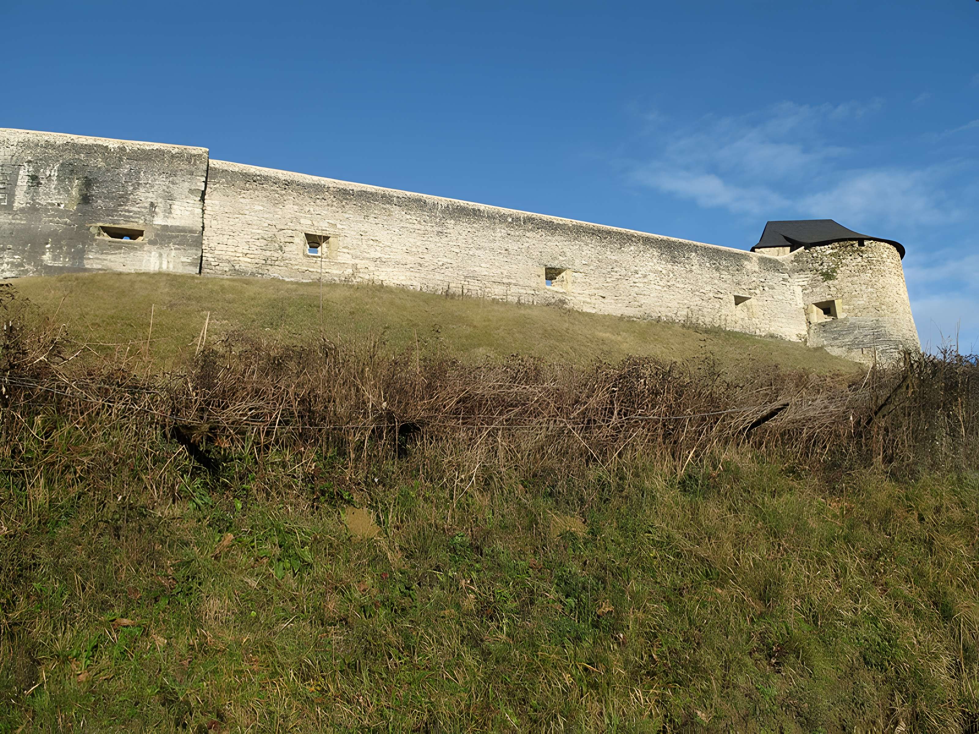 Château de Mauléon