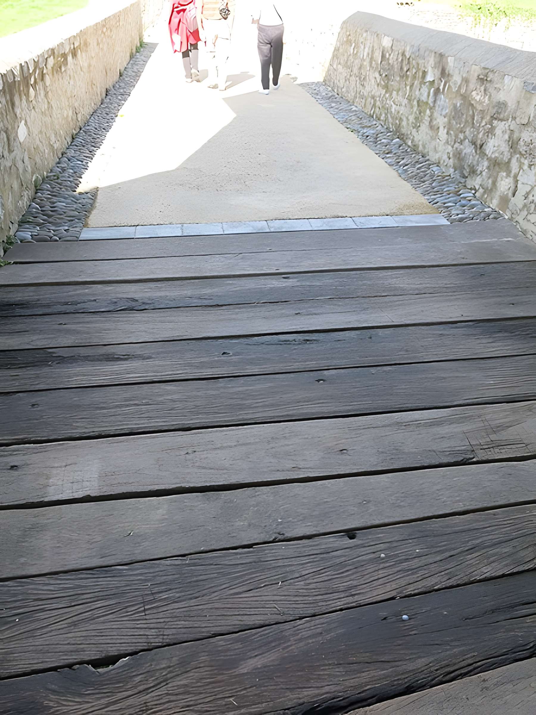 Château de Mauléon