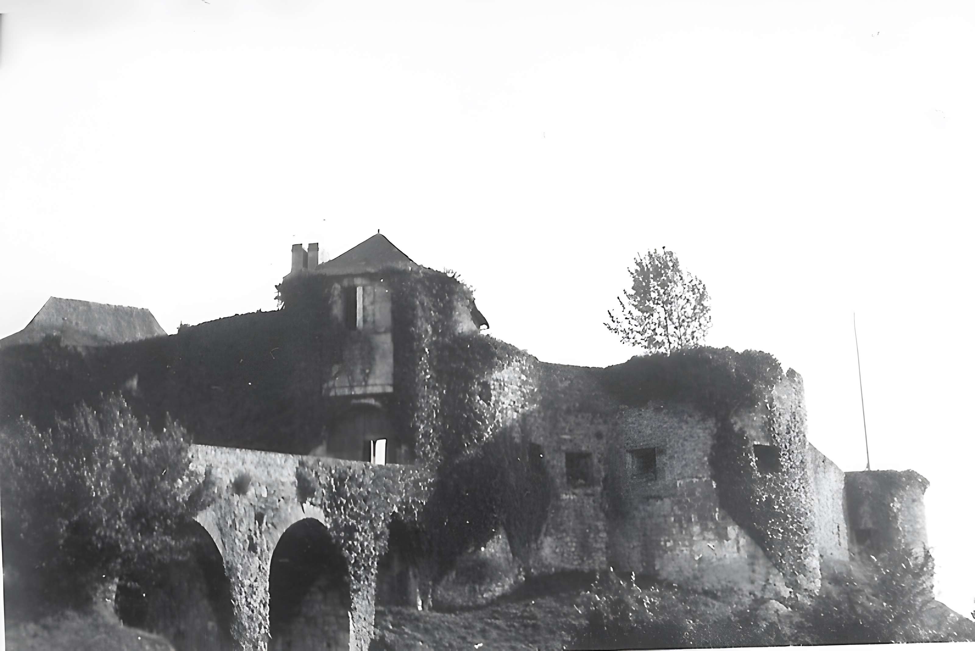 Château de Mauléon