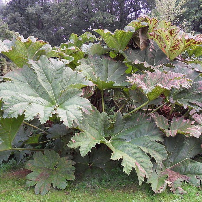 Photo de Château de Mauvières