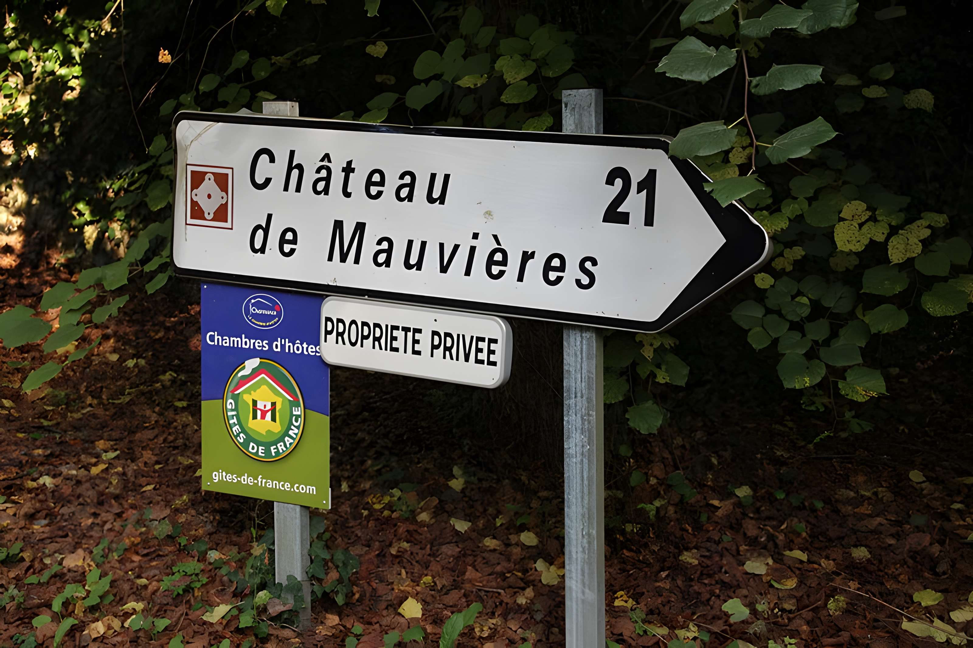 Château de Mauvières