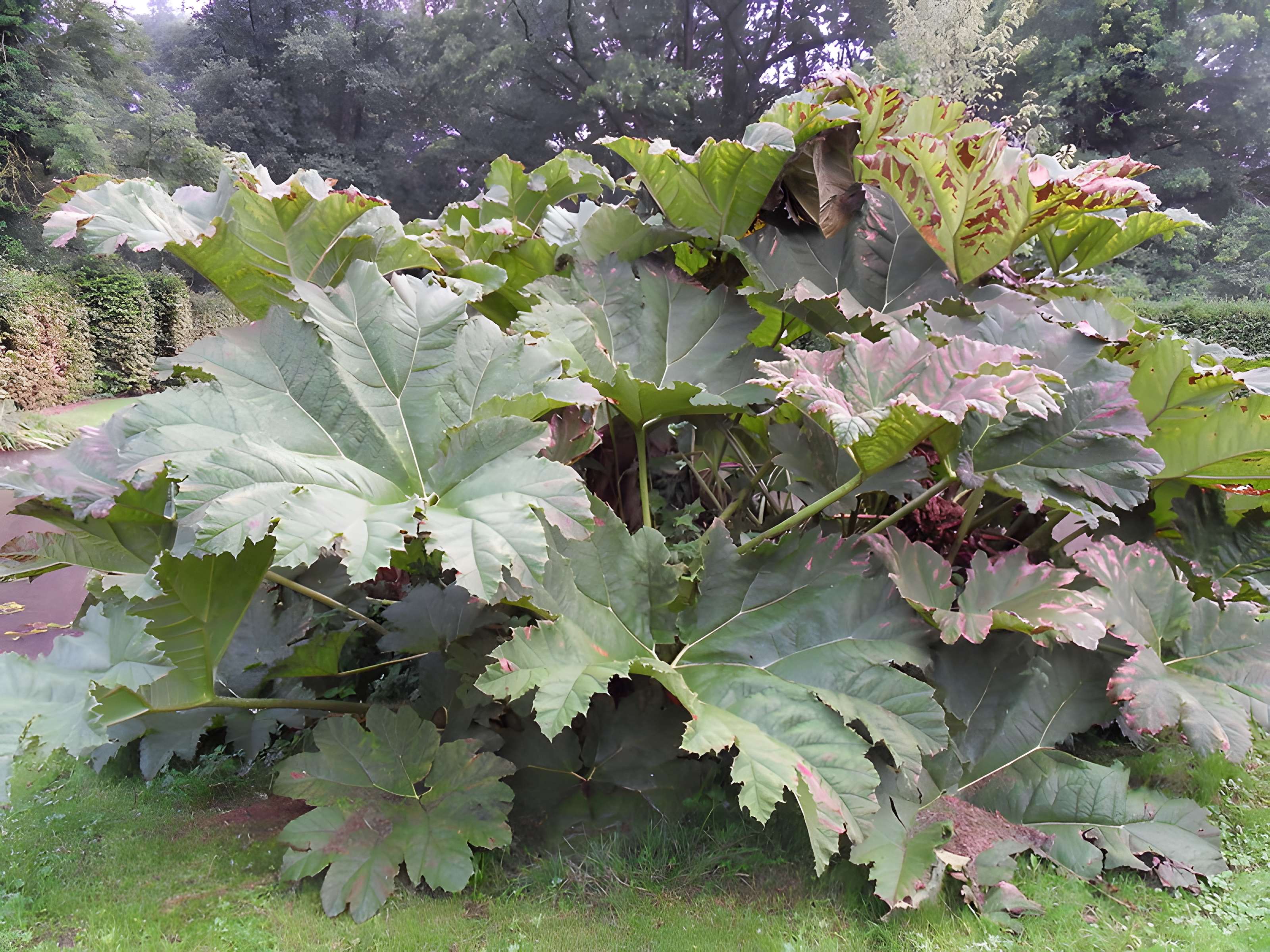 Château de Mauvières