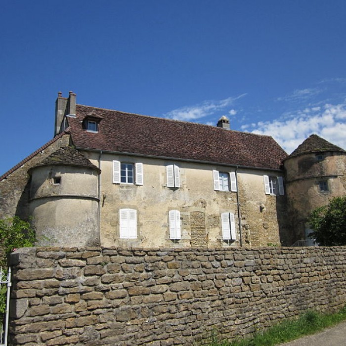 Photo de Château de Menétru-le-Vignoble