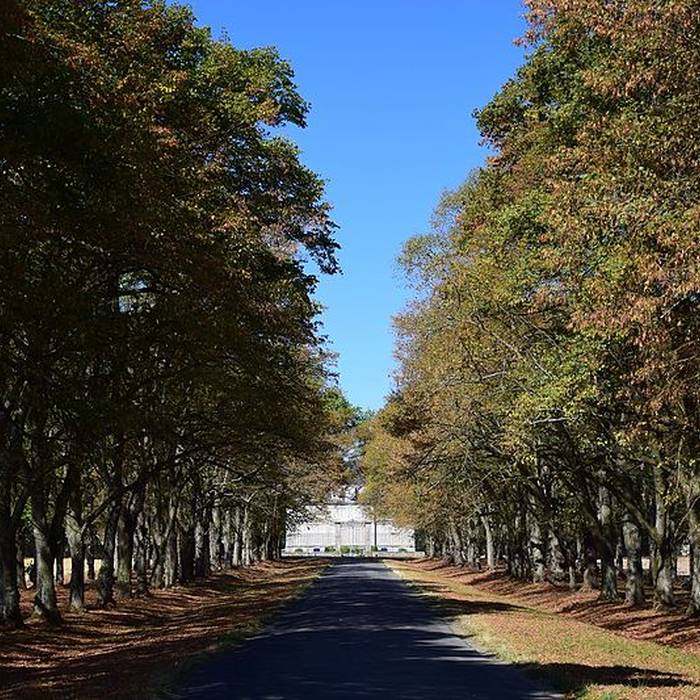 Photo de Château de Meslay