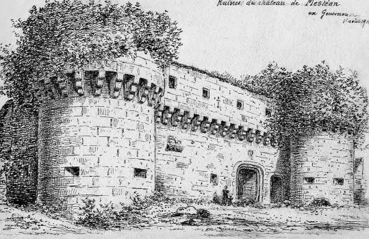 Photo de Château de Mesléan