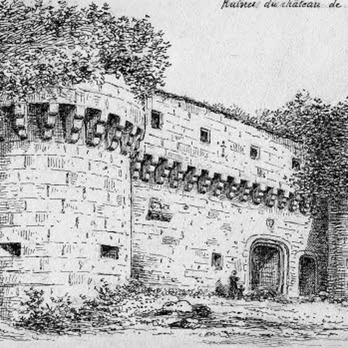 Photo de Château de Mesléan