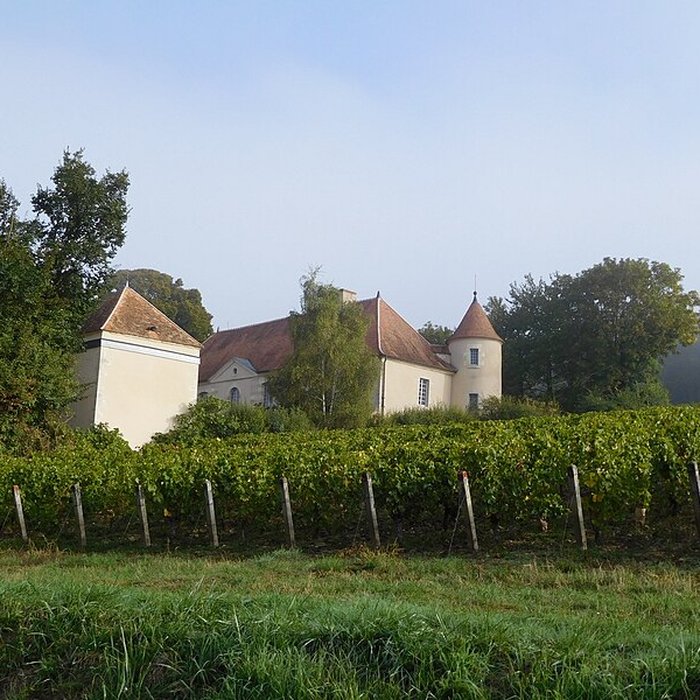 Photo de Château de Mocques