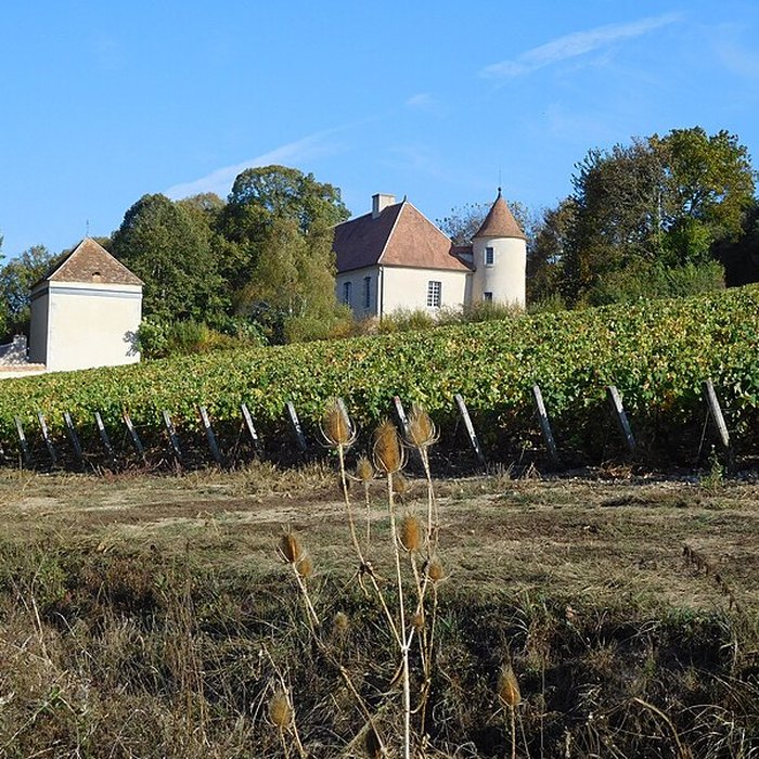 Photo de Château de Mocques