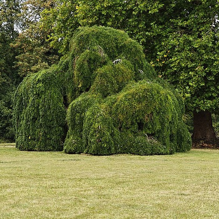 Photo de Château de Monsures