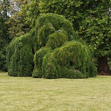 Château de Monsures