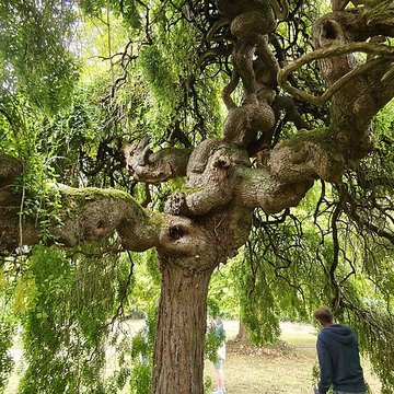 Château de Monsures