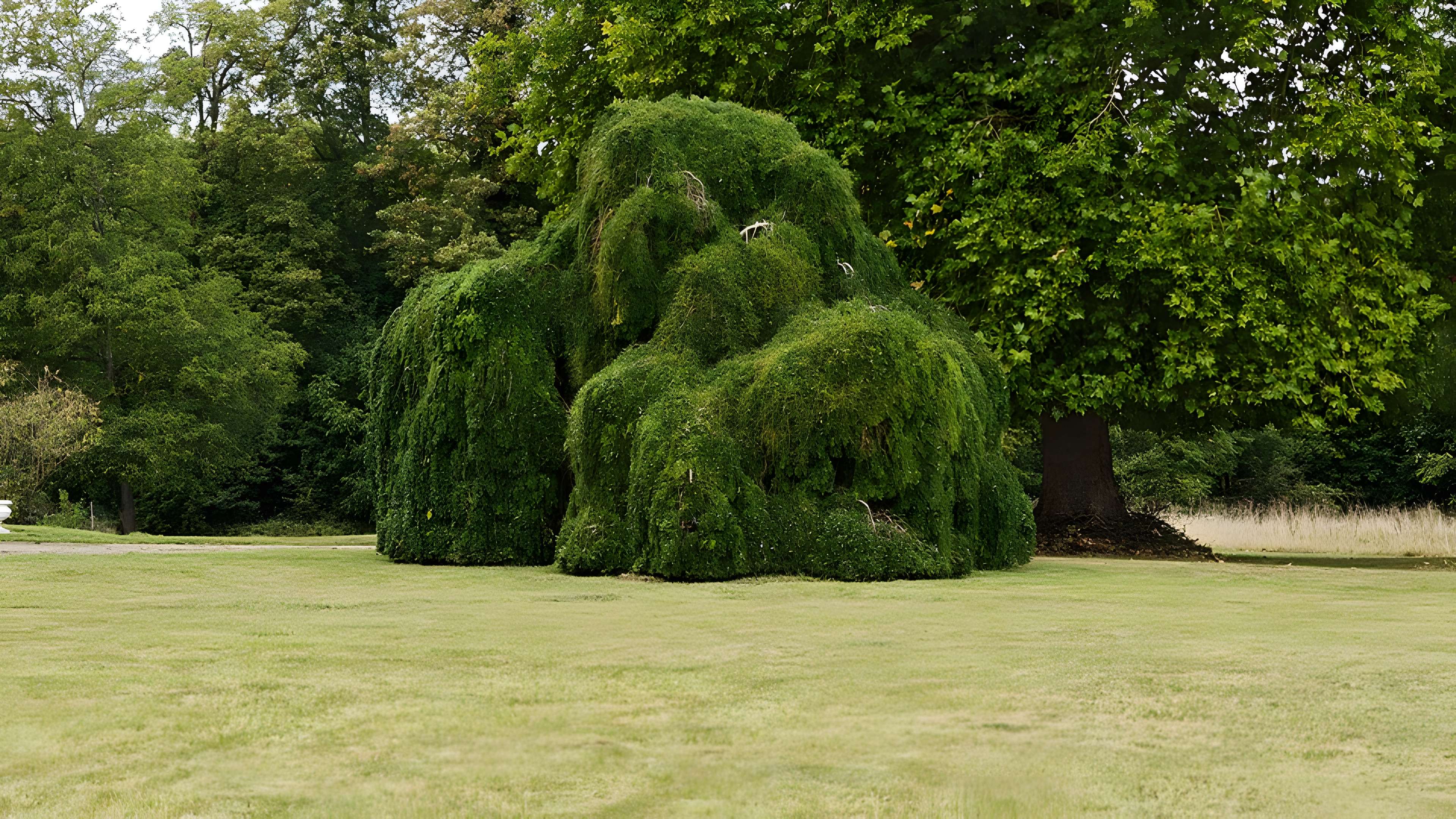 Château de Monsures